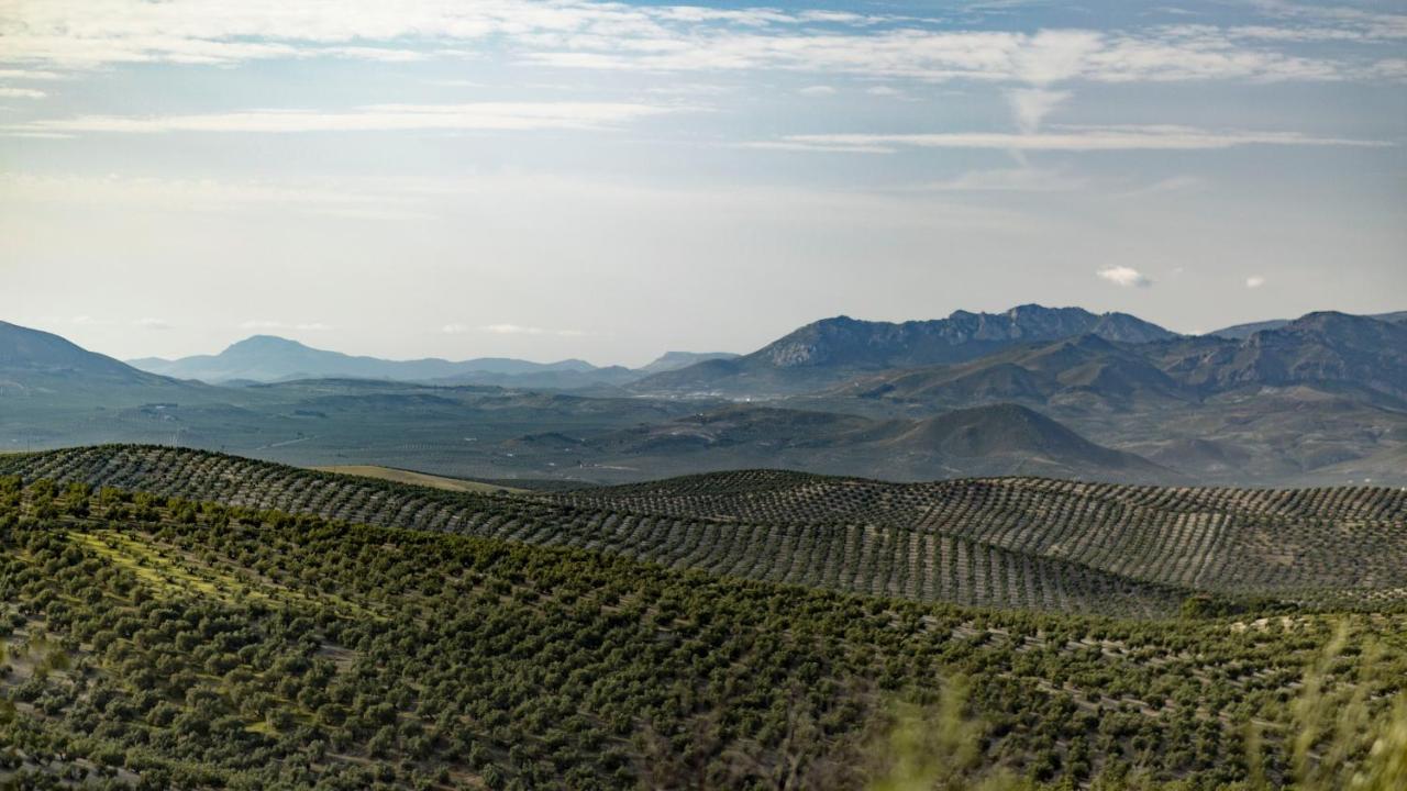 Hostal Rural Pico Aznaitin - Sierra Magina Albanchez de Úbeda エクステリア 写真